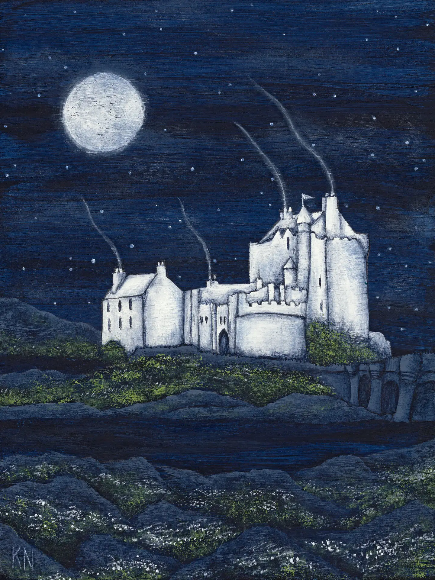 Starry Night at Eilean Donan